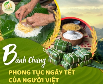 Cửa hàng gạo ngon ở bình tân - gạo hạt ngọc tâm