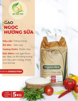 GẠO NGỌC HƯƠNG SỮA 20KG