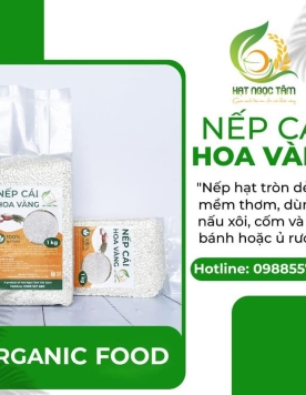 GẠO NẾP CÁI HOA VÀNG 10KG