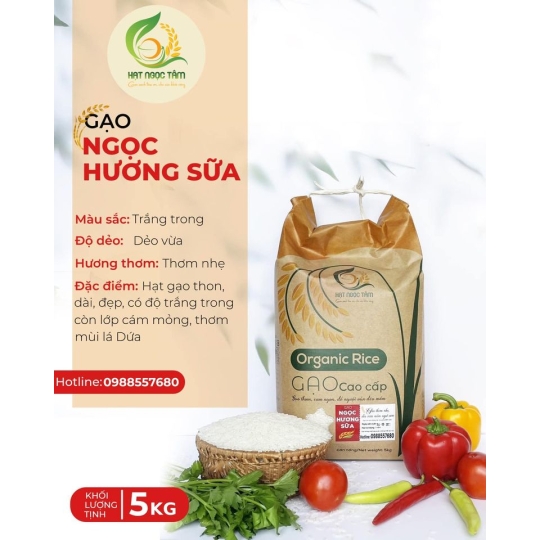 GẠO NGỌC HƯƠNG SỮA 10kg