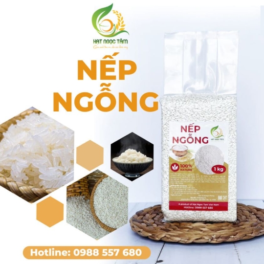 GẠO NẾP NGỖNG 5KG