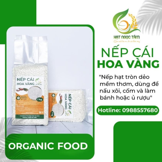 GẠO NẾP CÁI HOA VÀNG 1KG