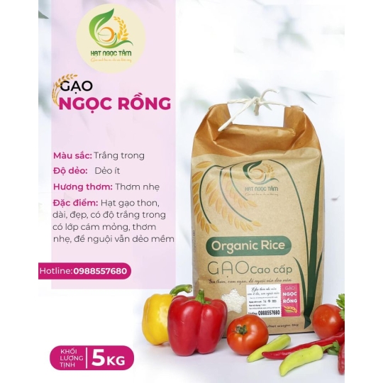 GẠO NGỌC RỒNG 10KG