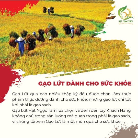 GẠO LỨT HUYẾT RỒNG 1KG
